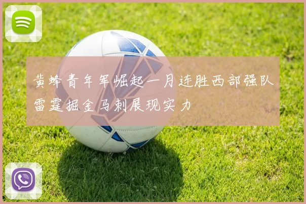 黄蜂青年军崛起一月连胜西部强队雷霆掘金马刺展现实力
