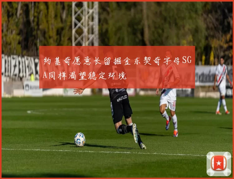 约基奇愿意长留掘金东契奇字母SGA同样渴望稳定环境
